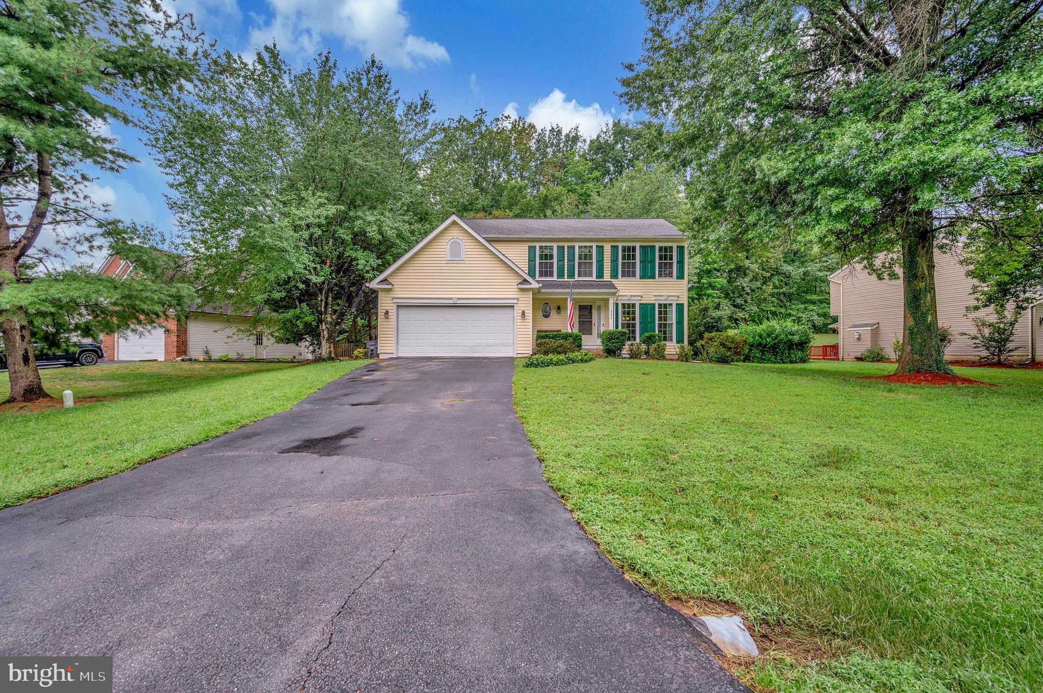 15356 BALD EAGLE LANE