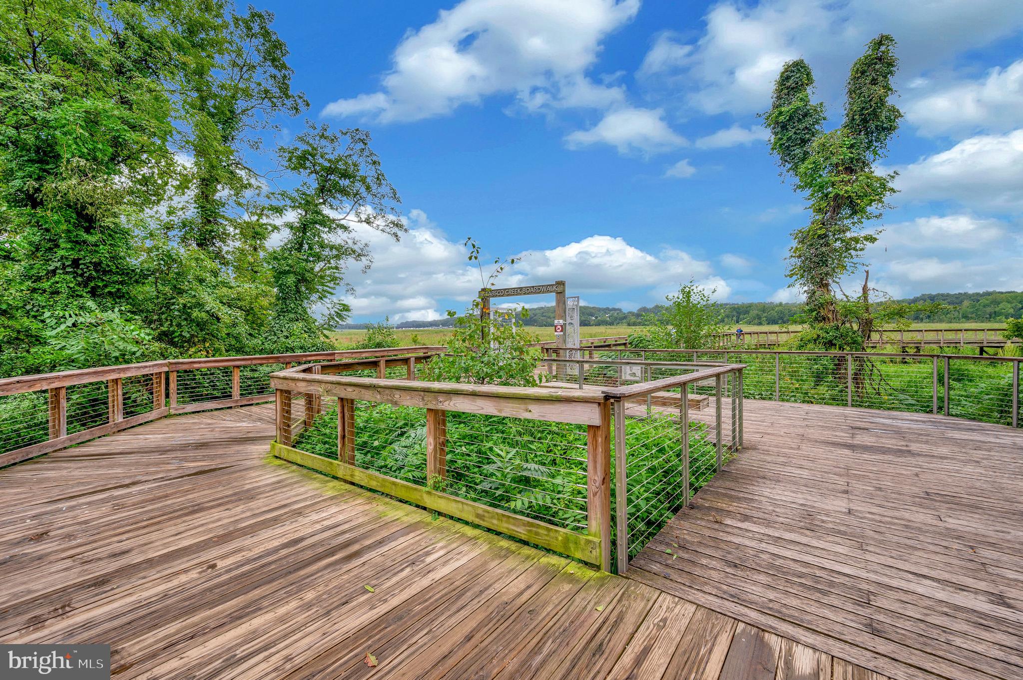 15356 BALD EAGLE LANE
