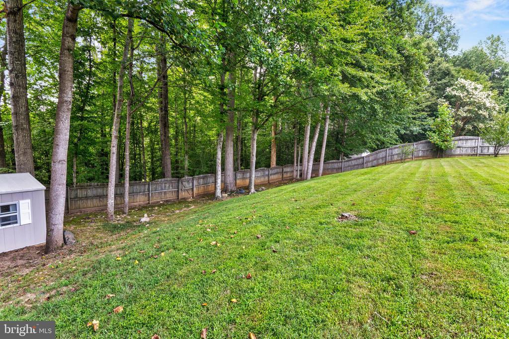 14972 SLIPPERY ELM COURT