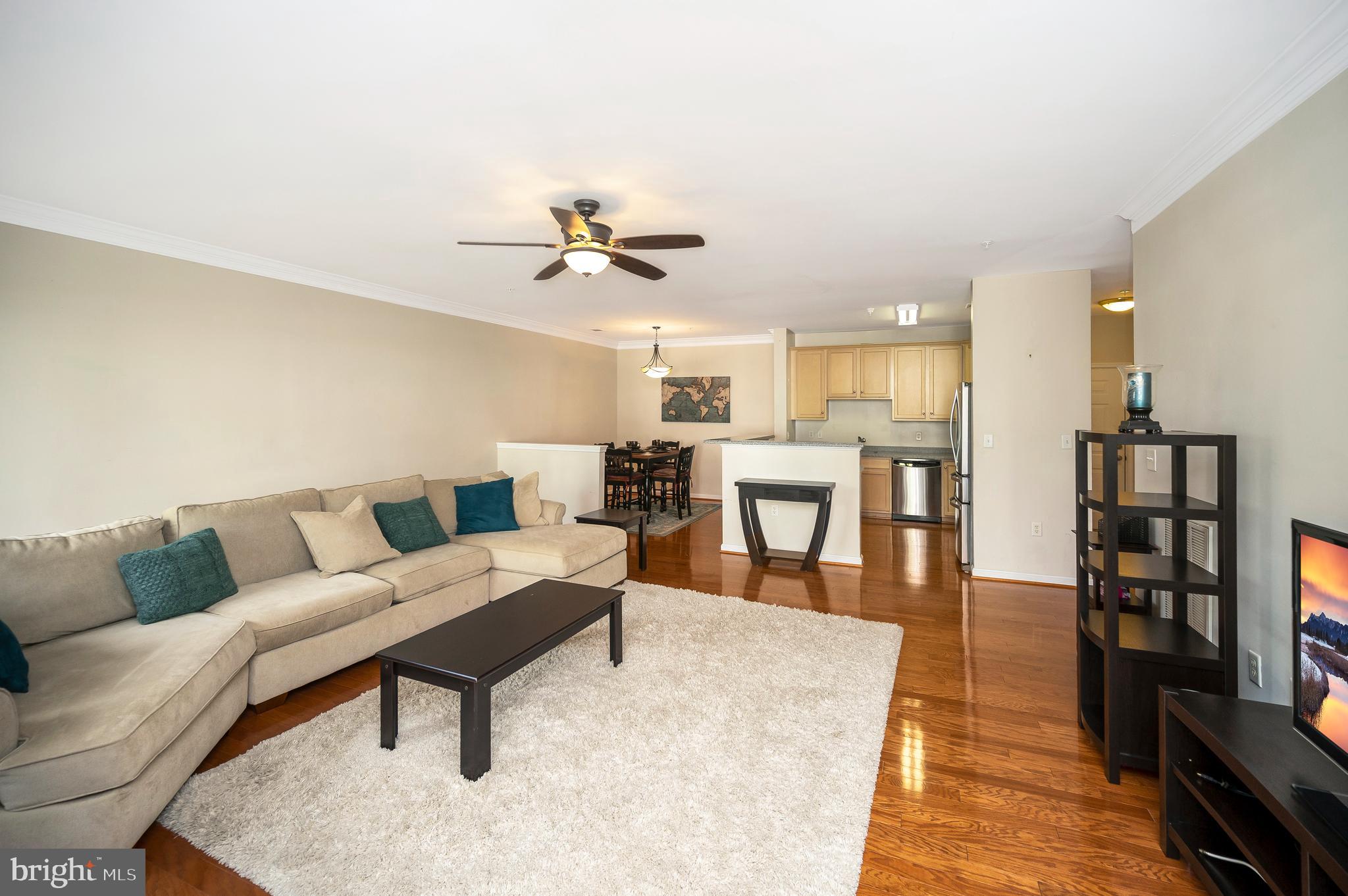 1641 LADUE COURT 203