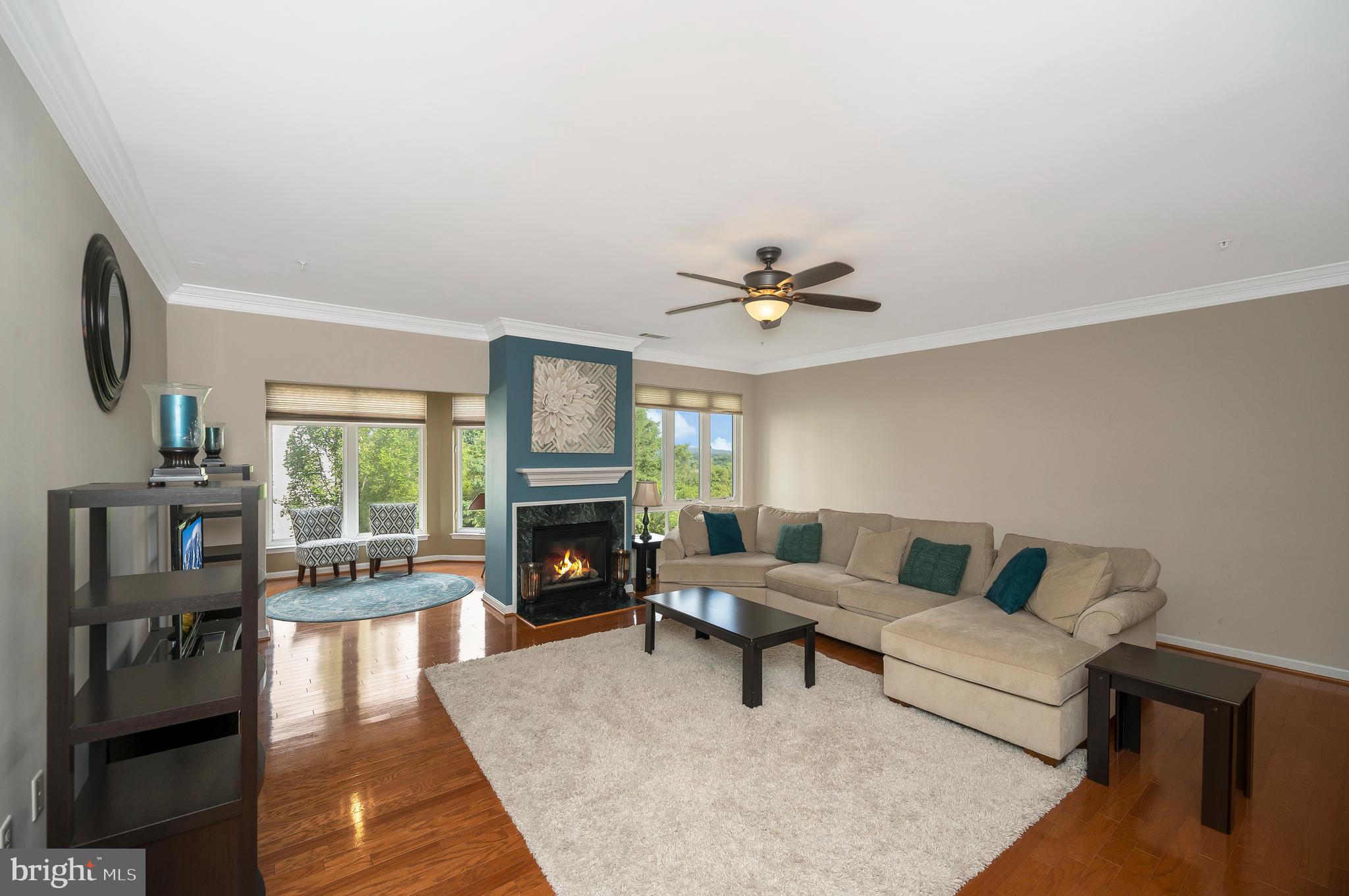 1641 LADUE COURT 203