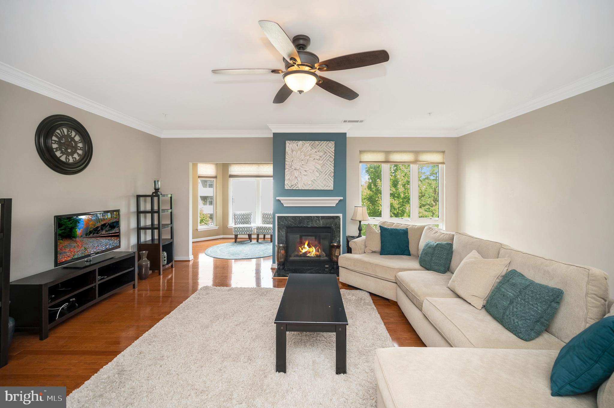 1641 LADUE COURT 203