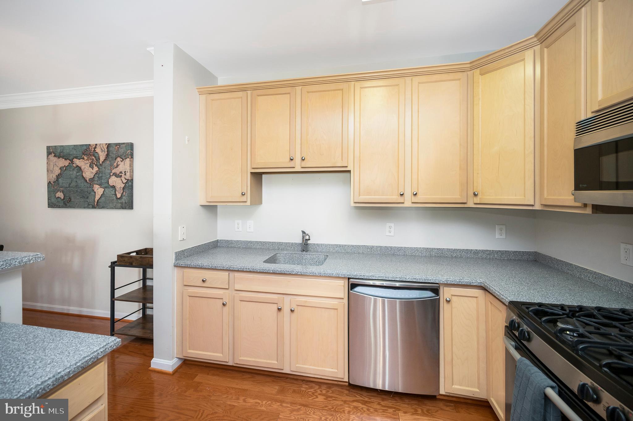 1641 LADUE COURT 203