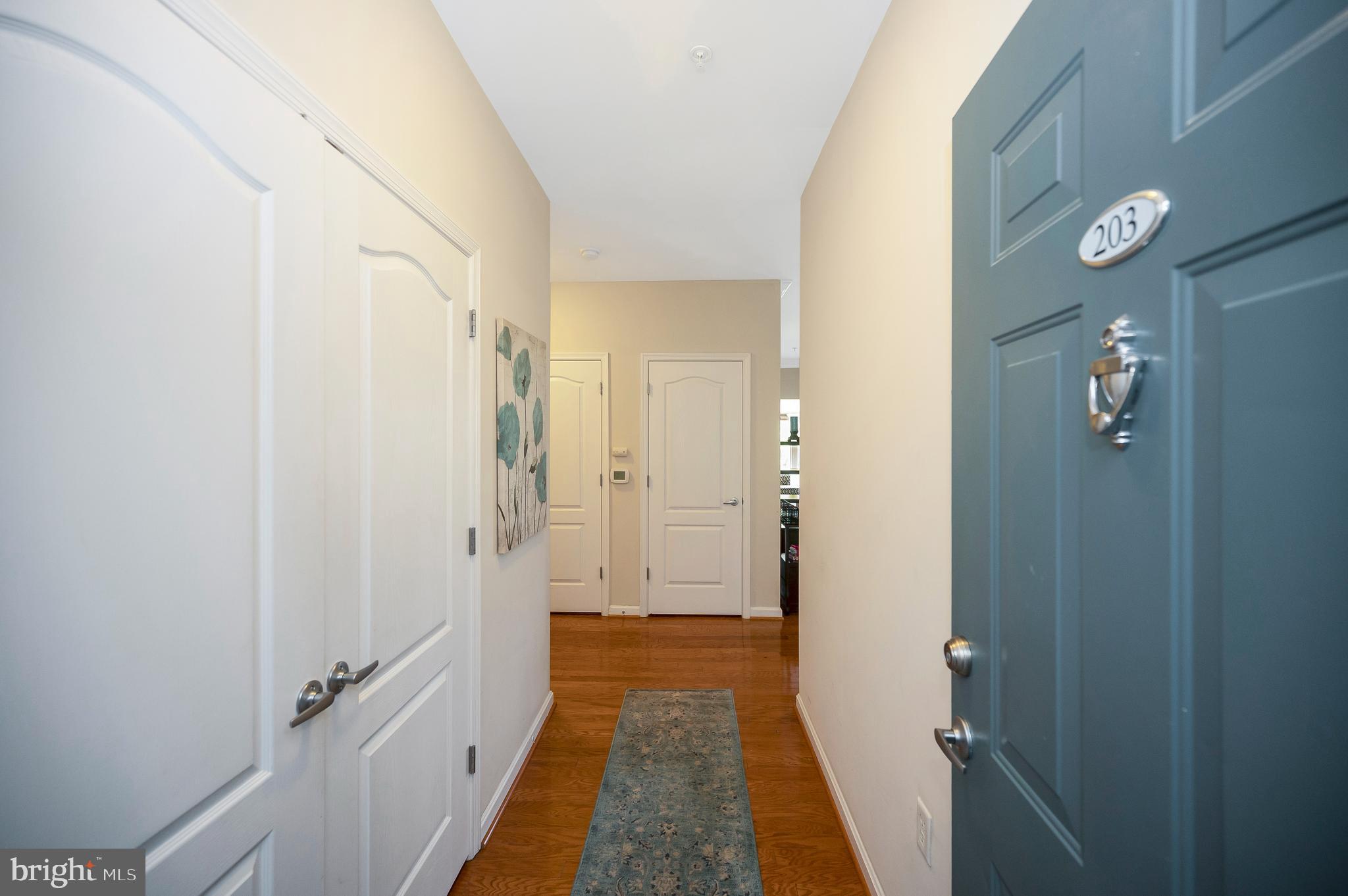 1641 LADUE COURT 203