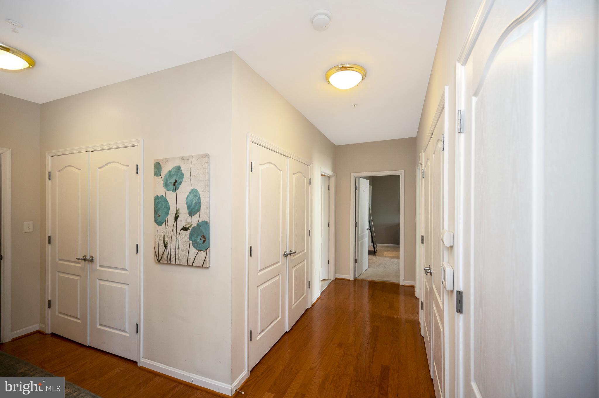 1641 LADUE COURT 203