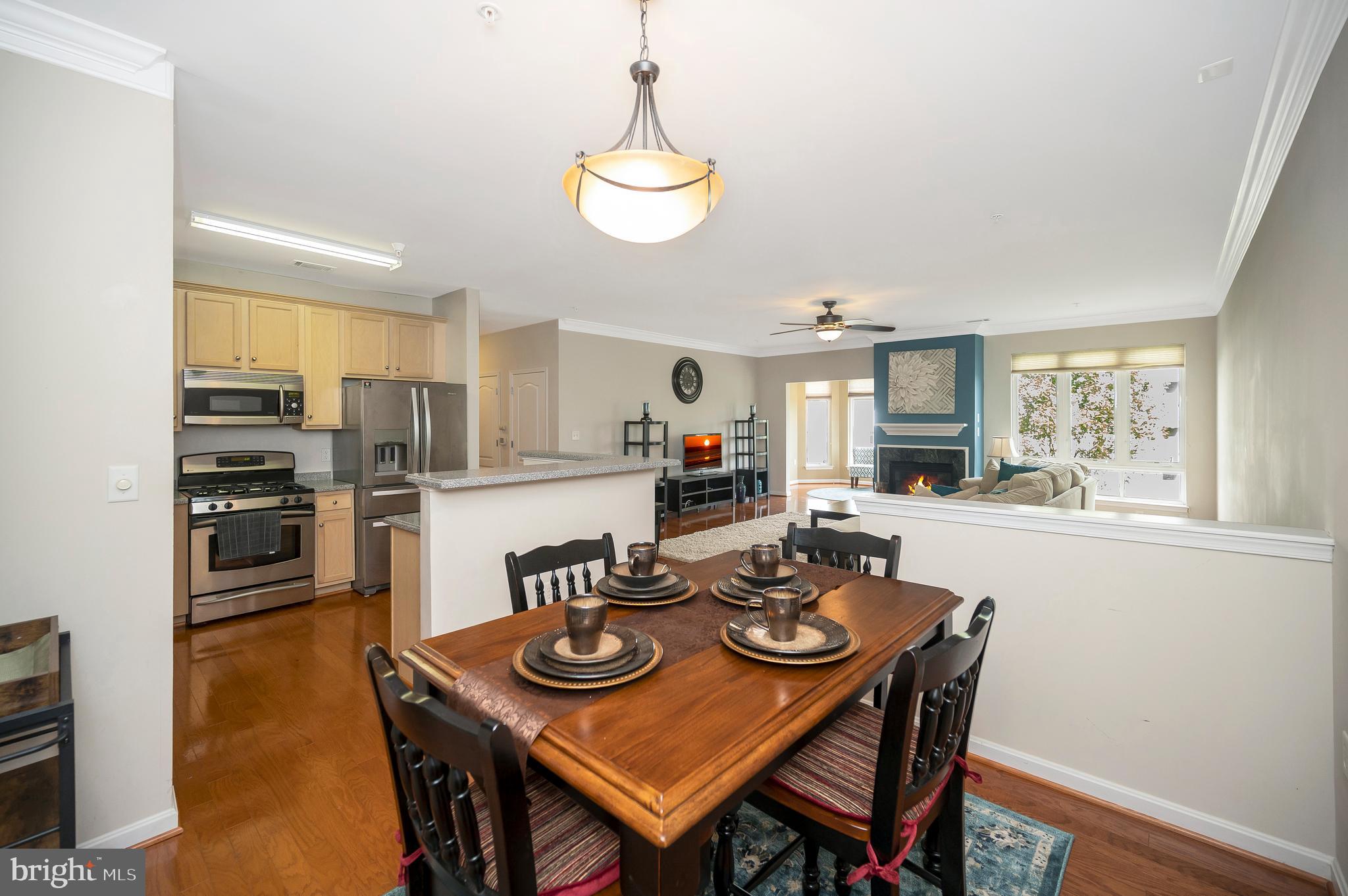 1641 LADUE COURT 203