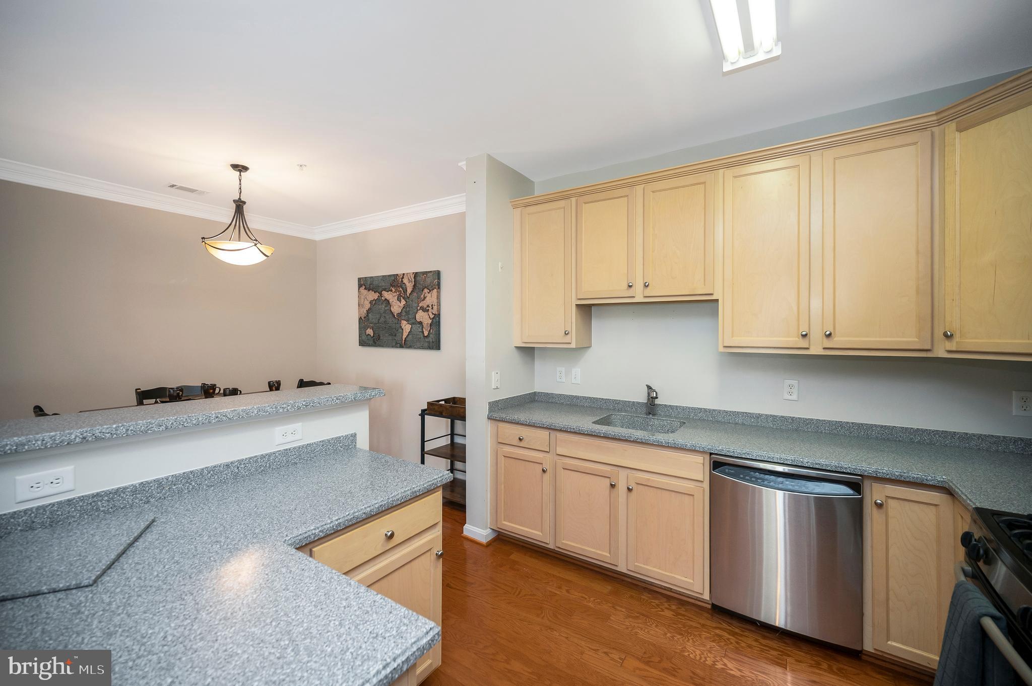 1641 LADUE COURT 203