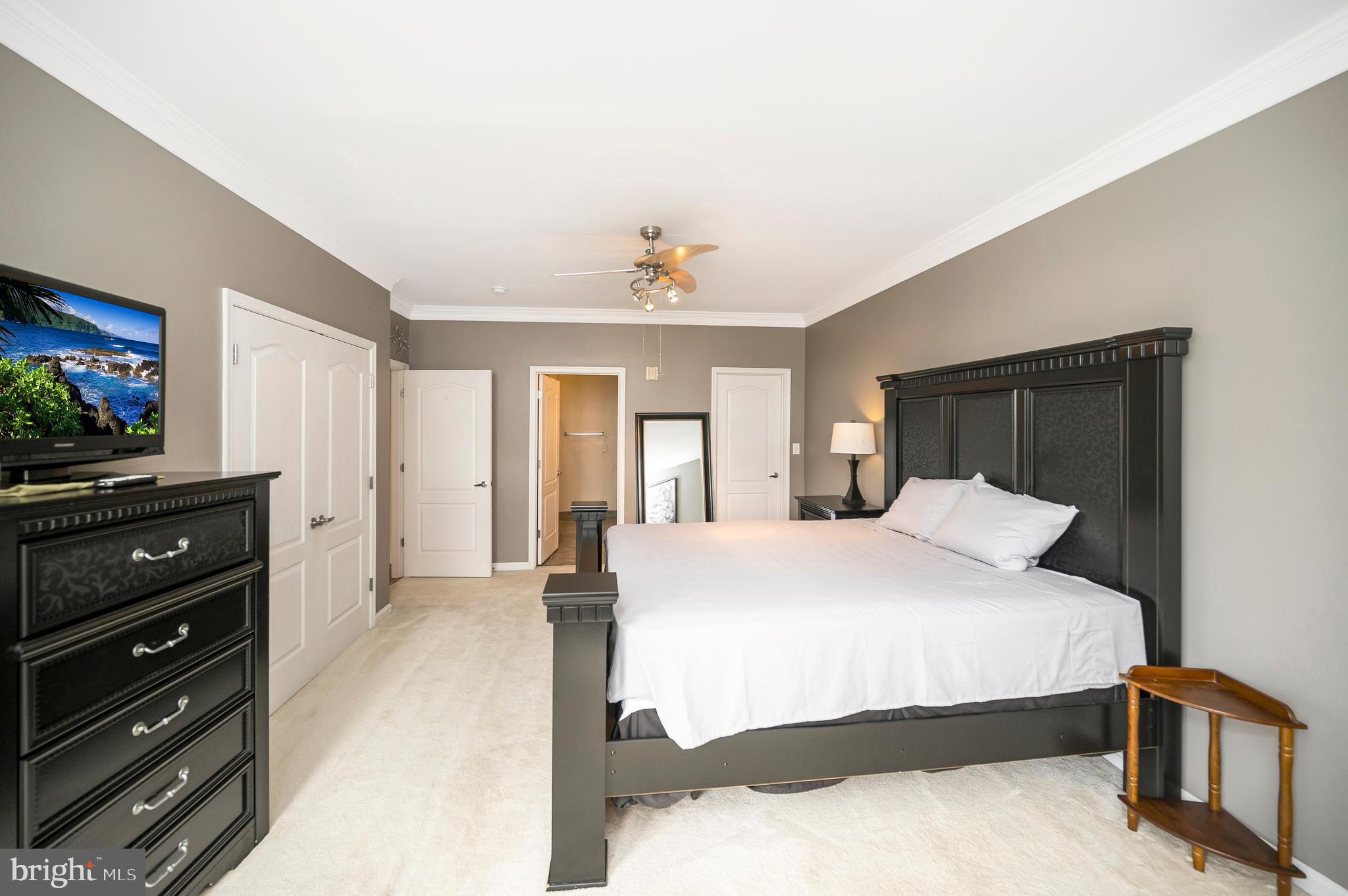 1641 LADUE COURT 203