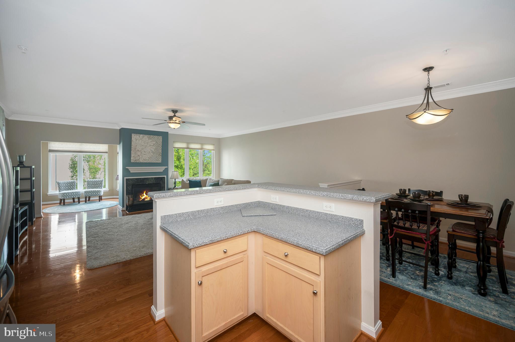 1641 LADUE COURT 203