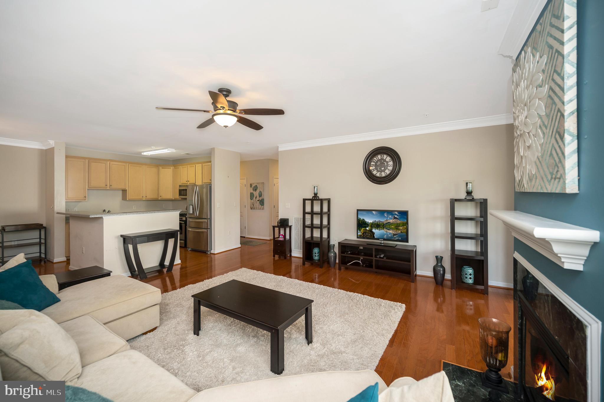 1641 LADUE COURT 203