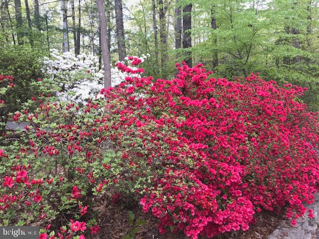 13750 ENSENADA COURT