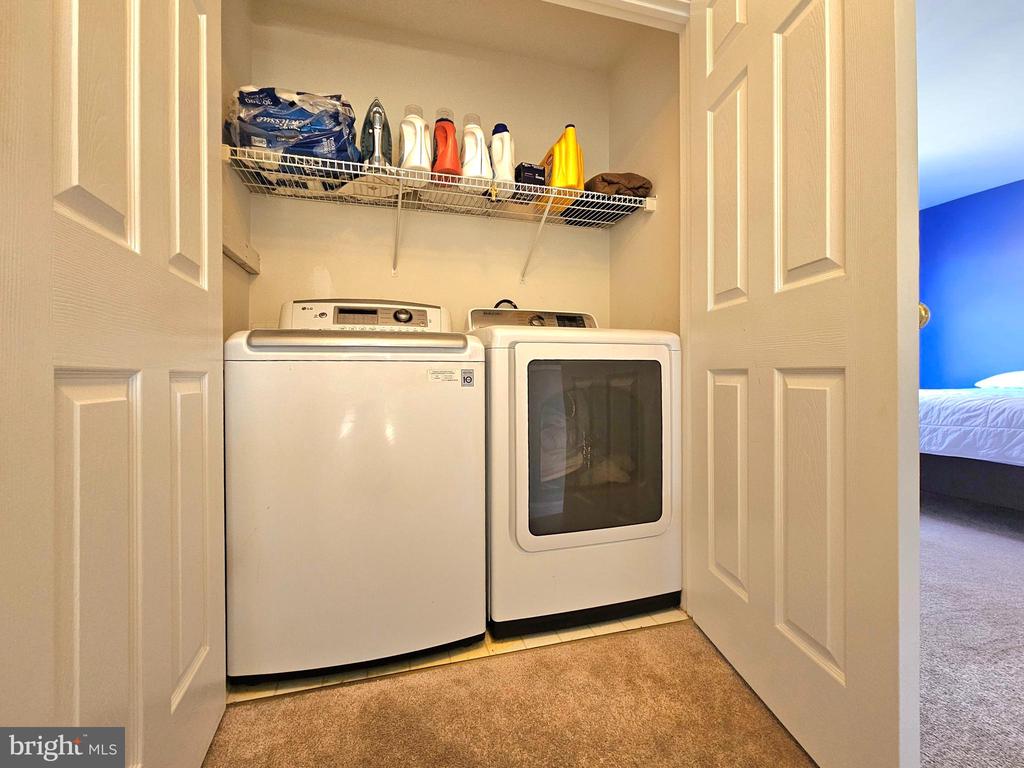 15004 SLIPPERY ELM COURT