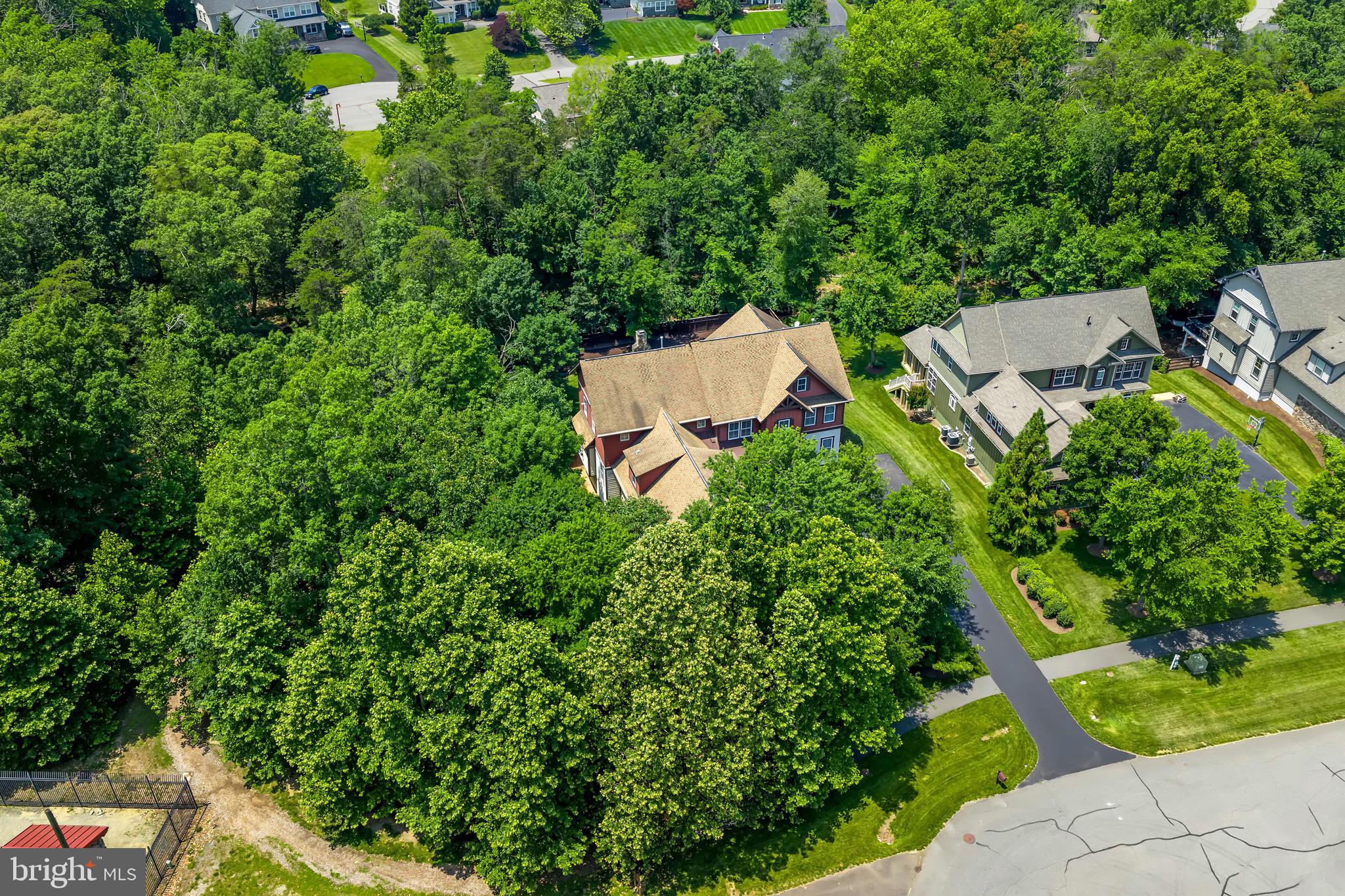 14428 EAGLE ISLAND COURT