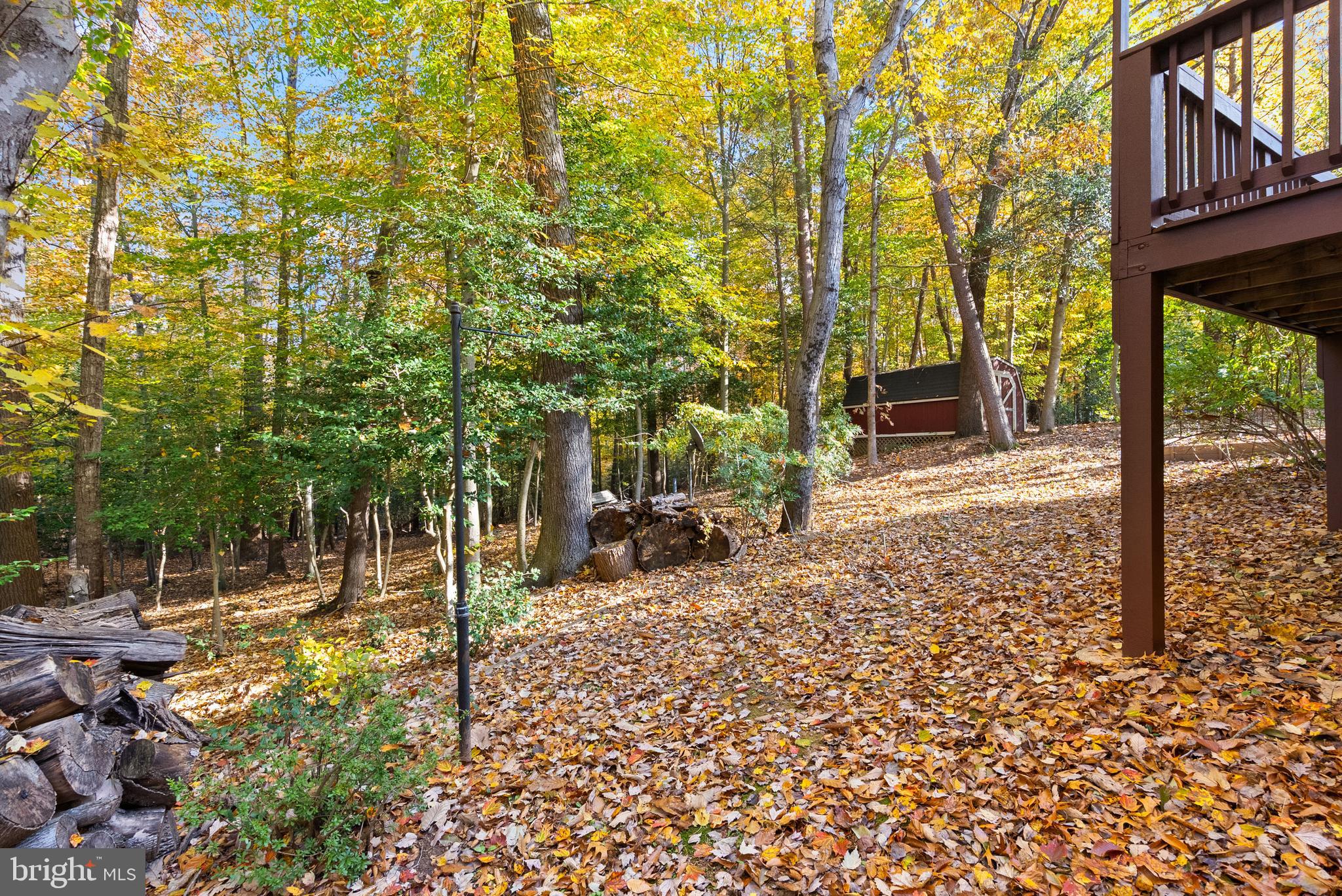 11781 FINGERLAKE WAY