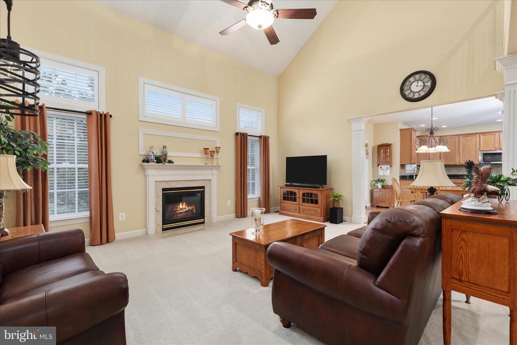 14227 SNICKERSVILLE DRIVE
