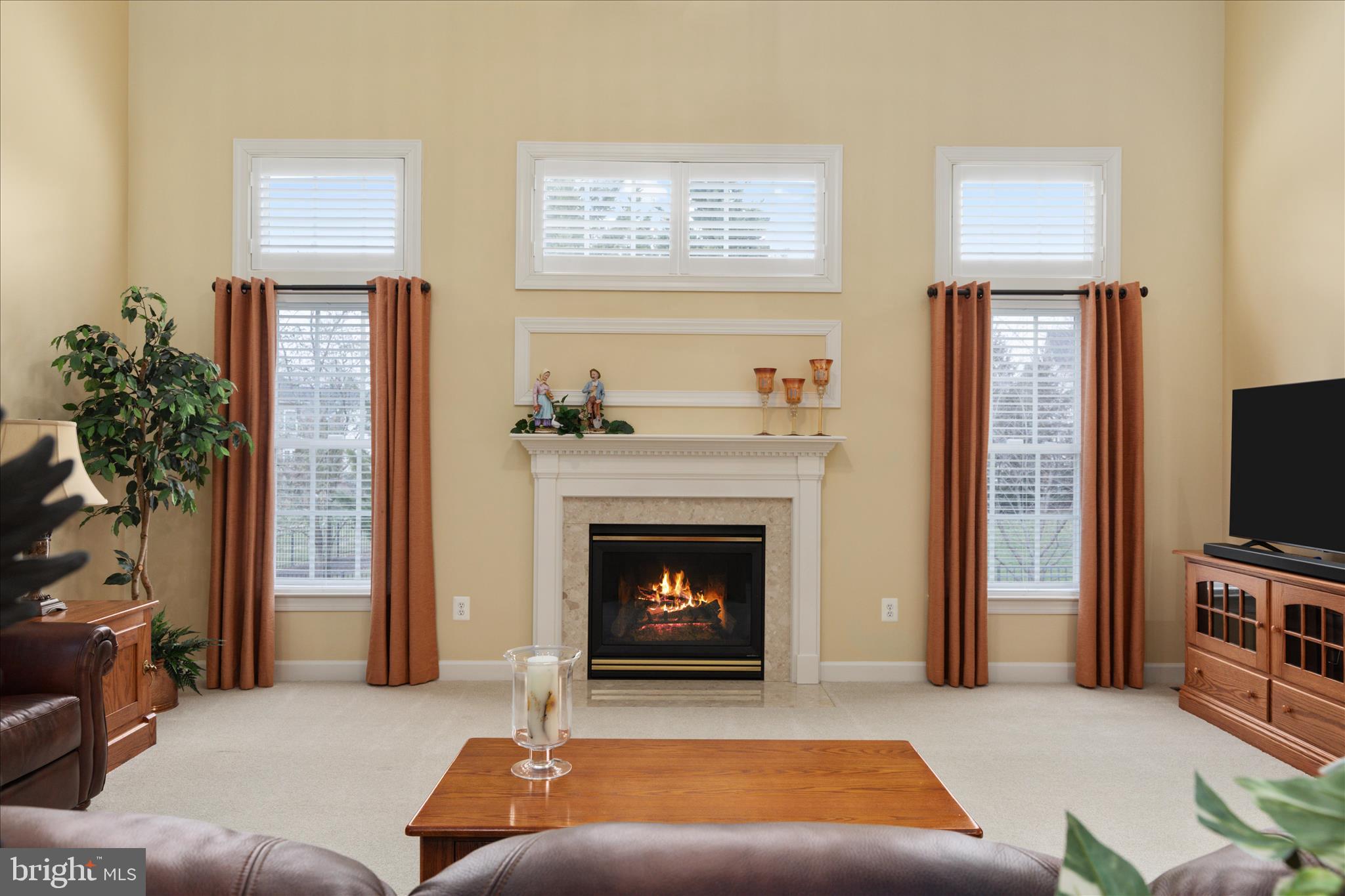 14227 SNICKERSVILLE DRIVE