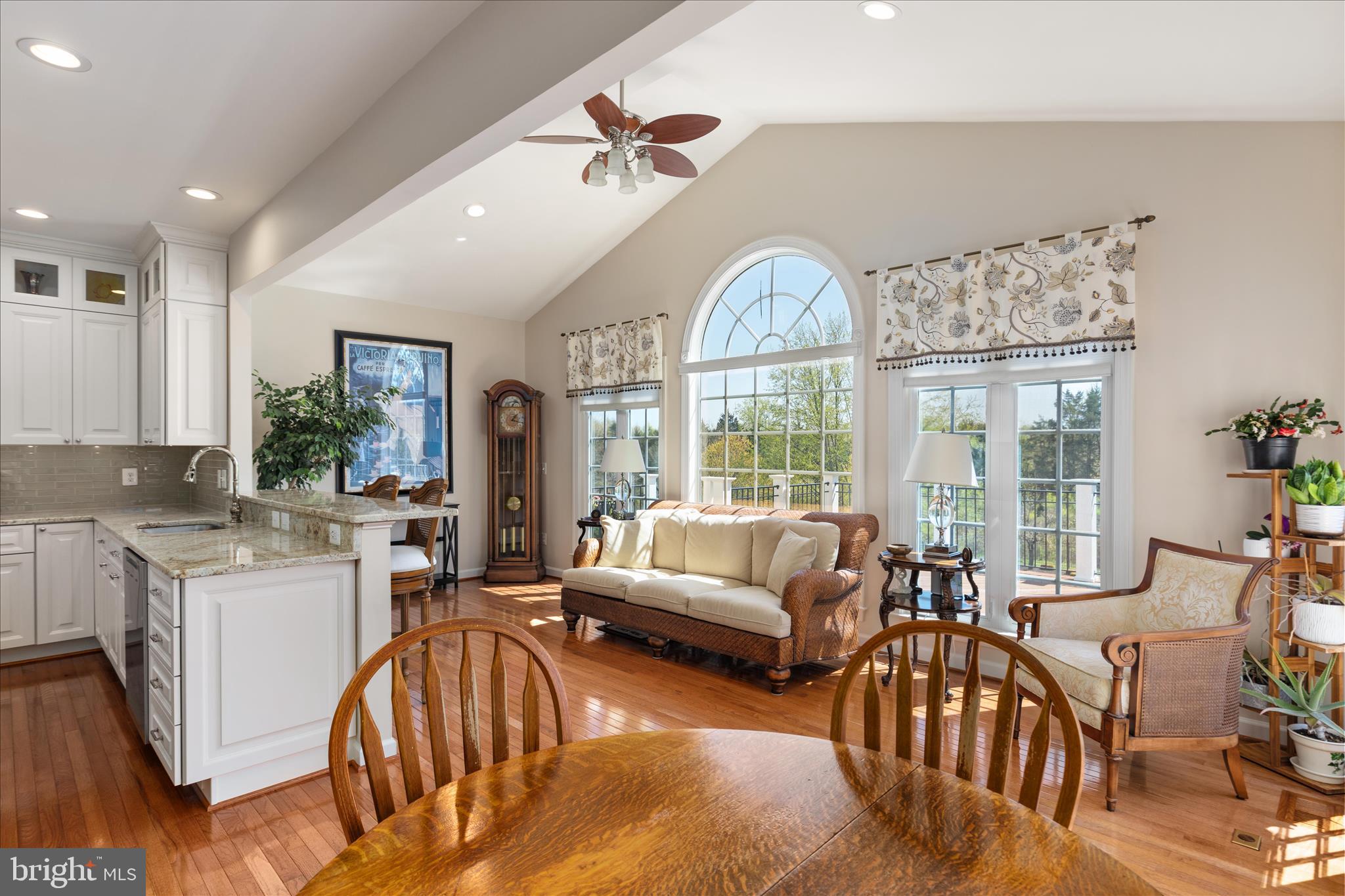 14228 SNICKERSVILLE DRIVE