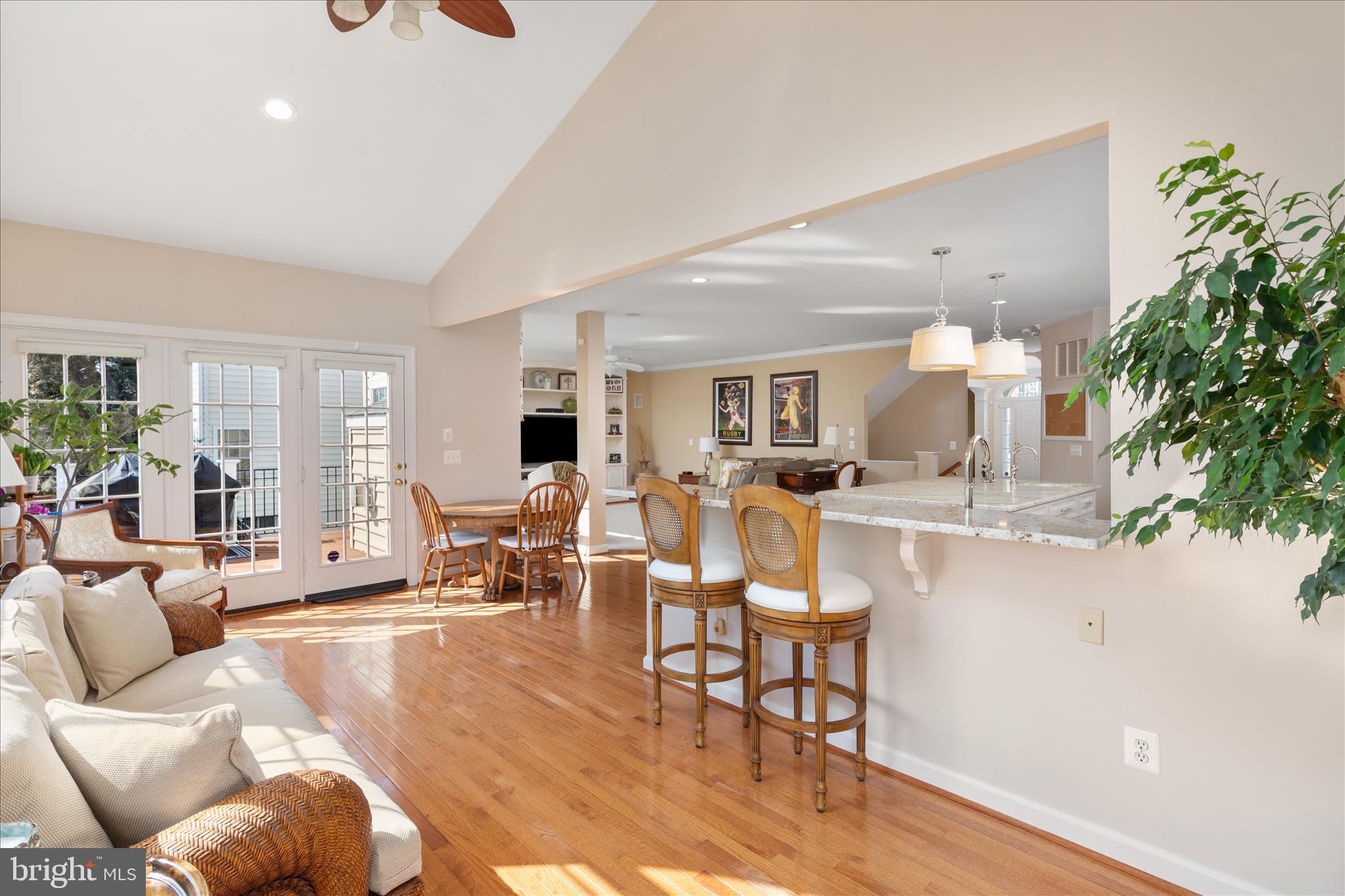 14228 SNICKERSVILLE DRIVE