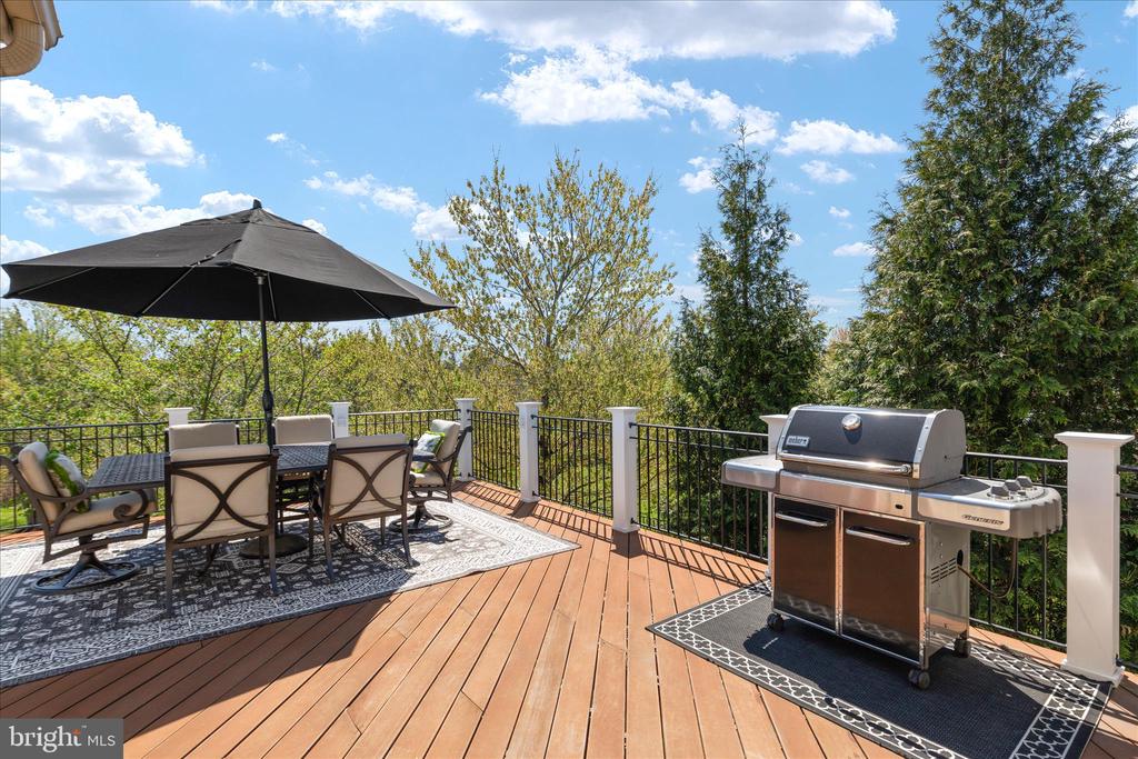 14228 SNICKERSVILLE DRIVE