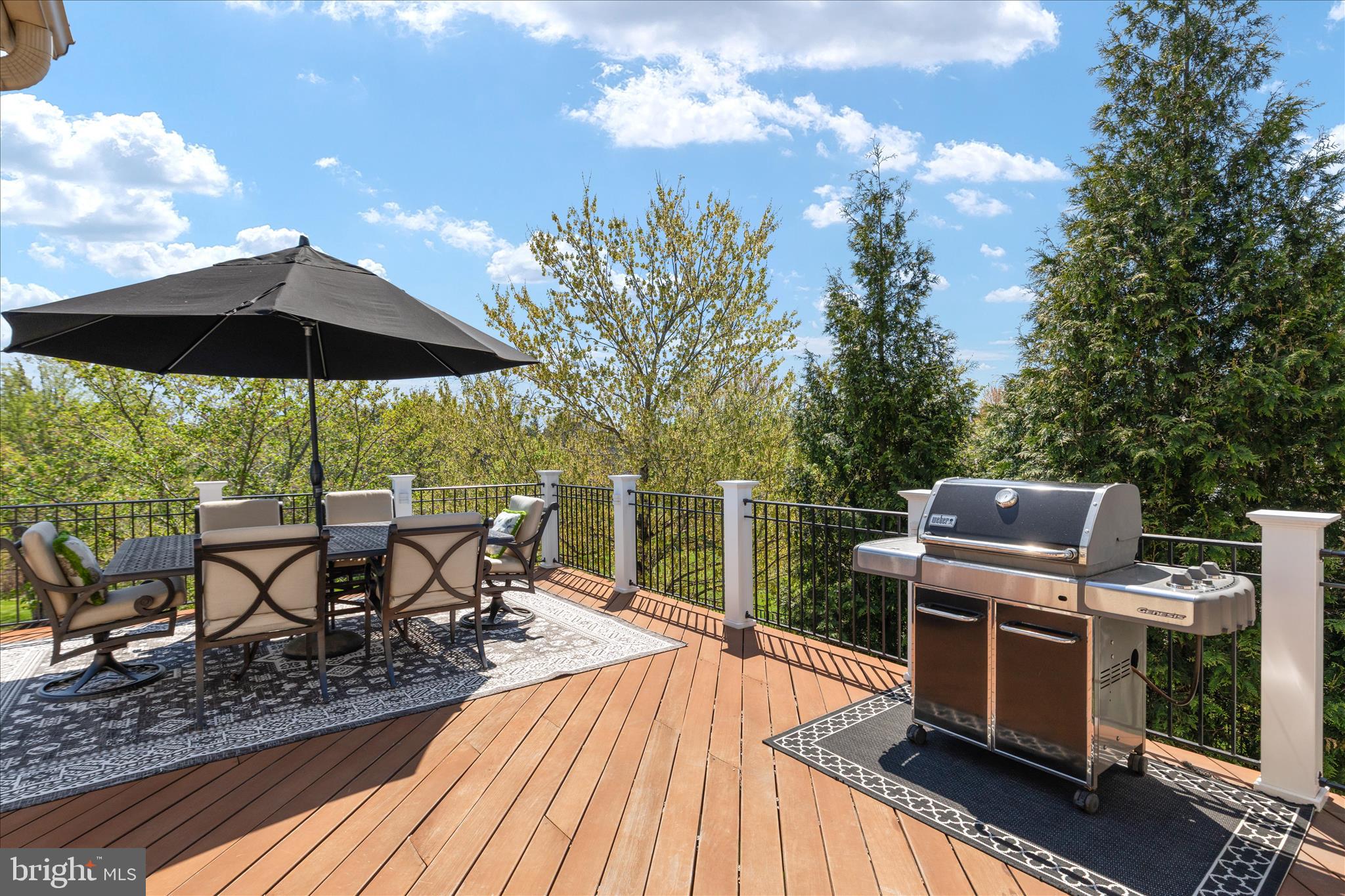 14228 SNICKERSVILLE DRIVE