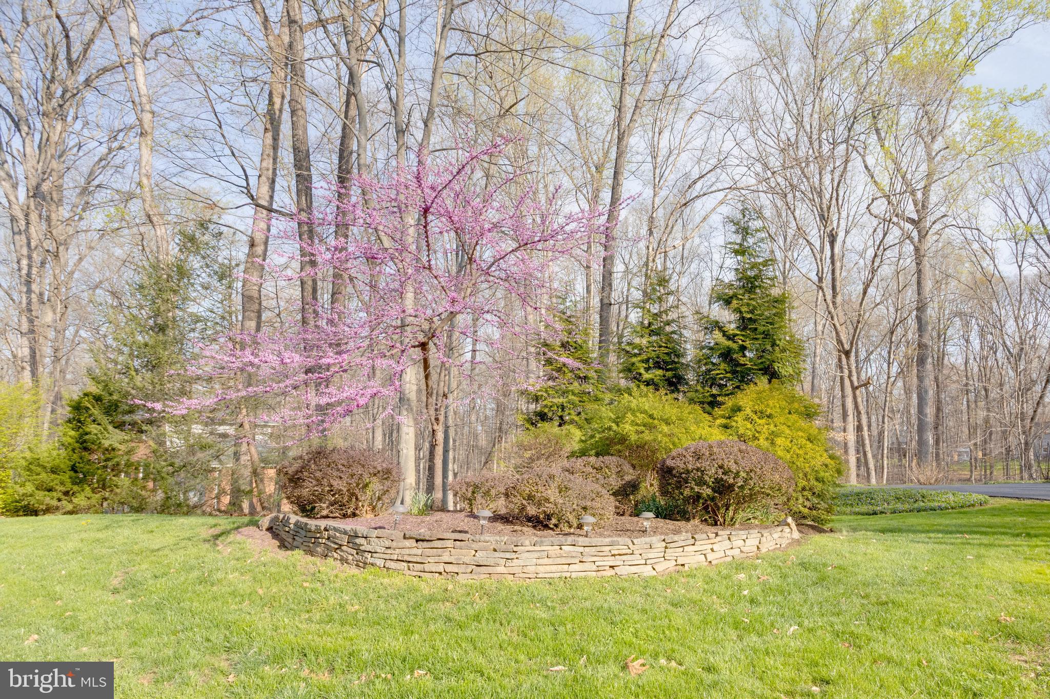 8072 COUNSELOR ROAD