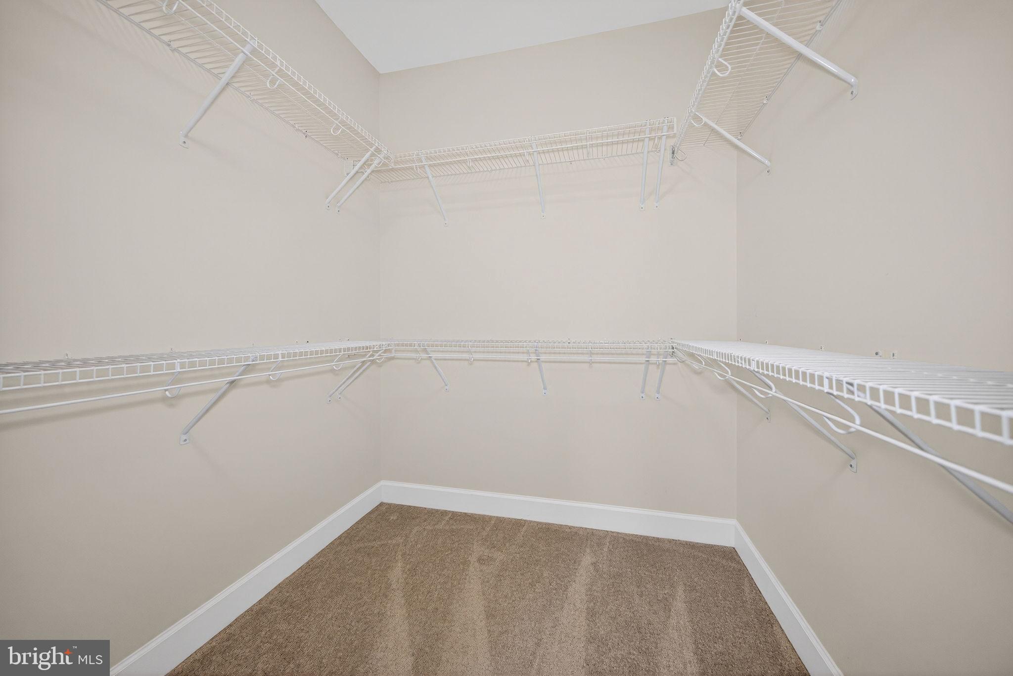 15305 LINVILLE CREEK DRIVE