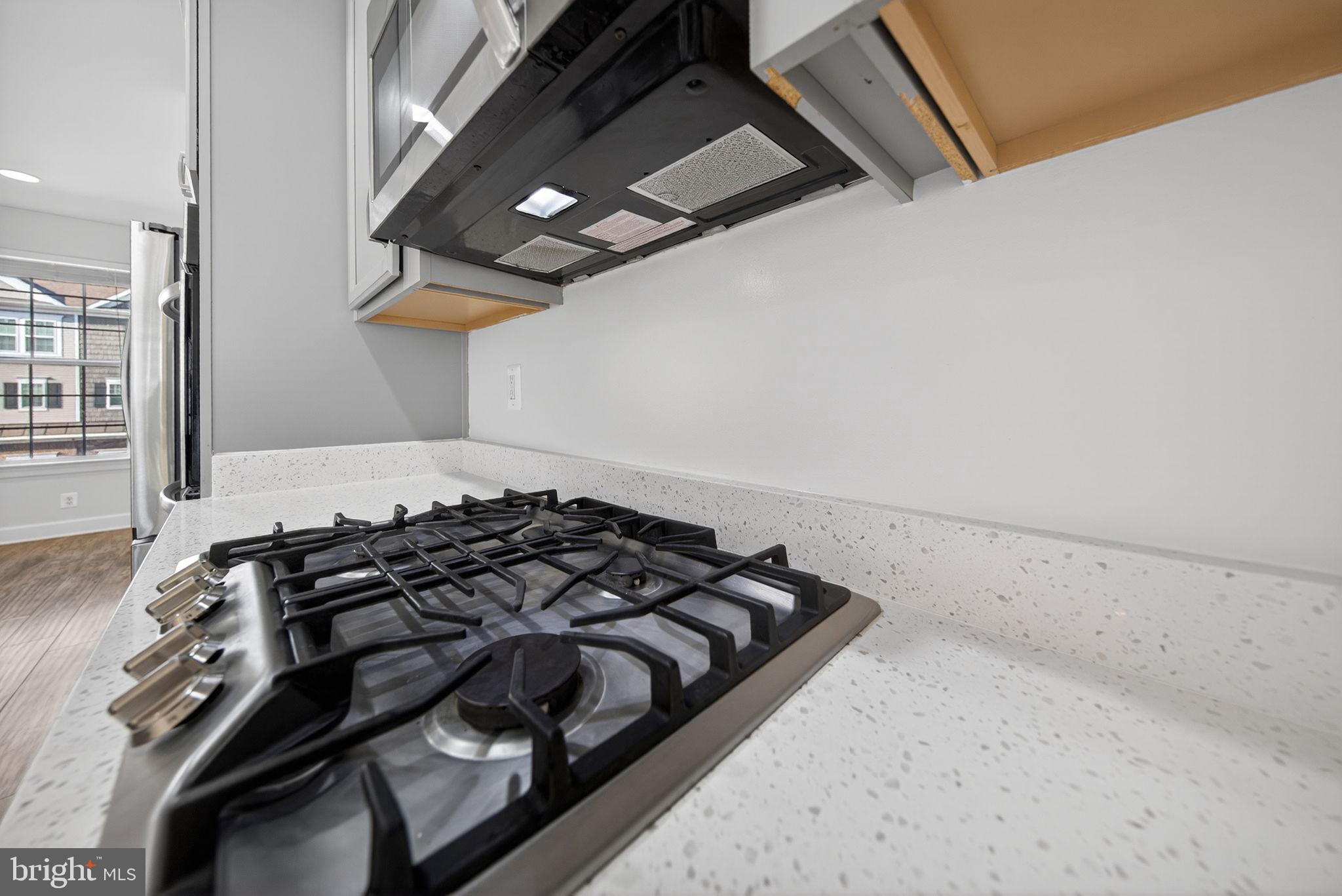 15305 LINVILLE CREEK DRIVE