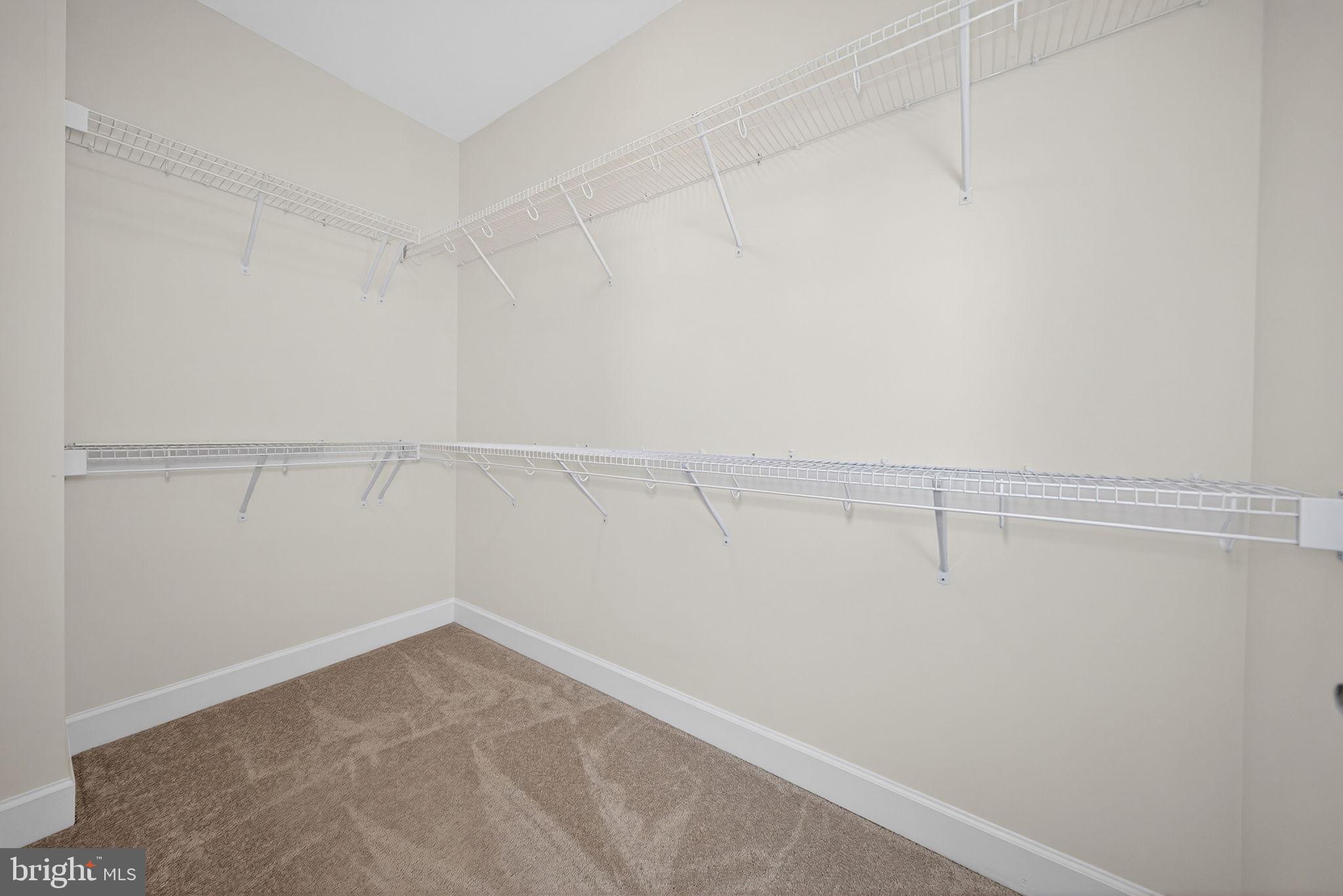 15305 LINVILLE CREEK DRIVE