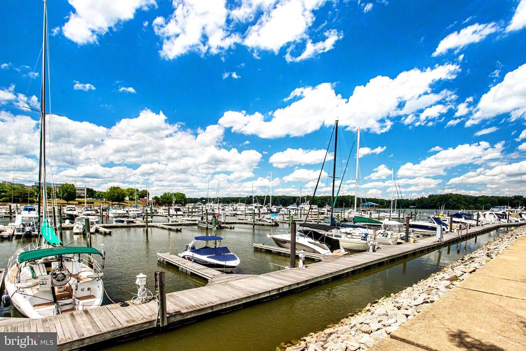440 BELMONT BAY DRIVE 404