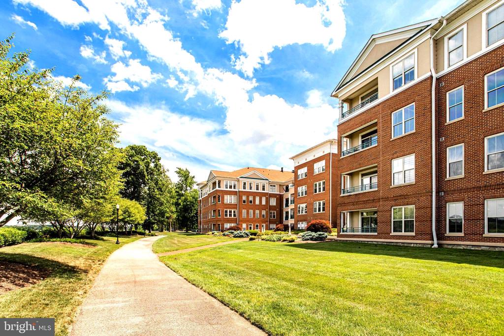 440 BELMONT BAY DRIVE 404