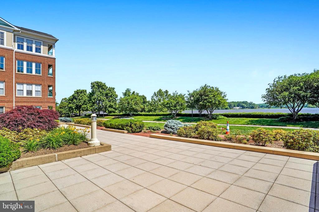 440 BELMONT BAY DRIVE 404