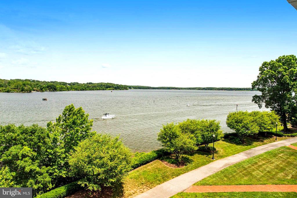 440 BELMONT BAY DRIVE 404