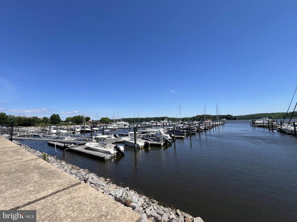 440 BELMONT BAY DRIVE 404