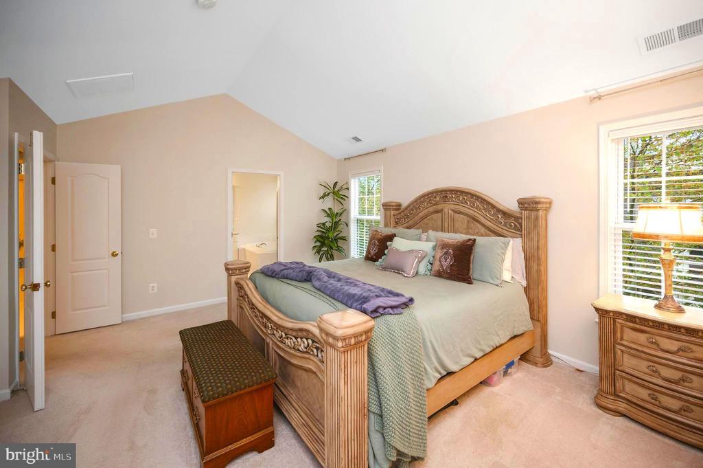 15829 FOURMILE CREEK COURT