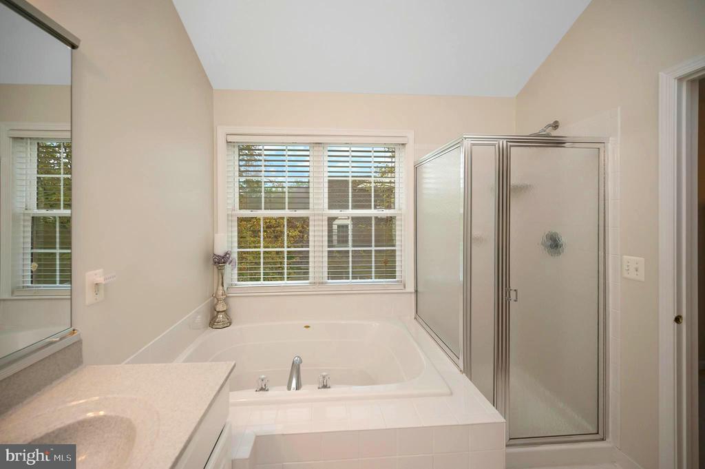 15829 FOURMILE CREEK COURT