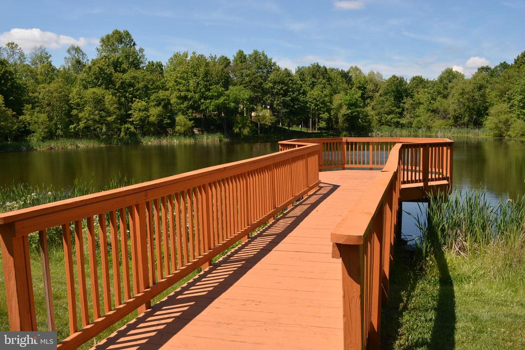 15829 FOURMILE CREEK COURT