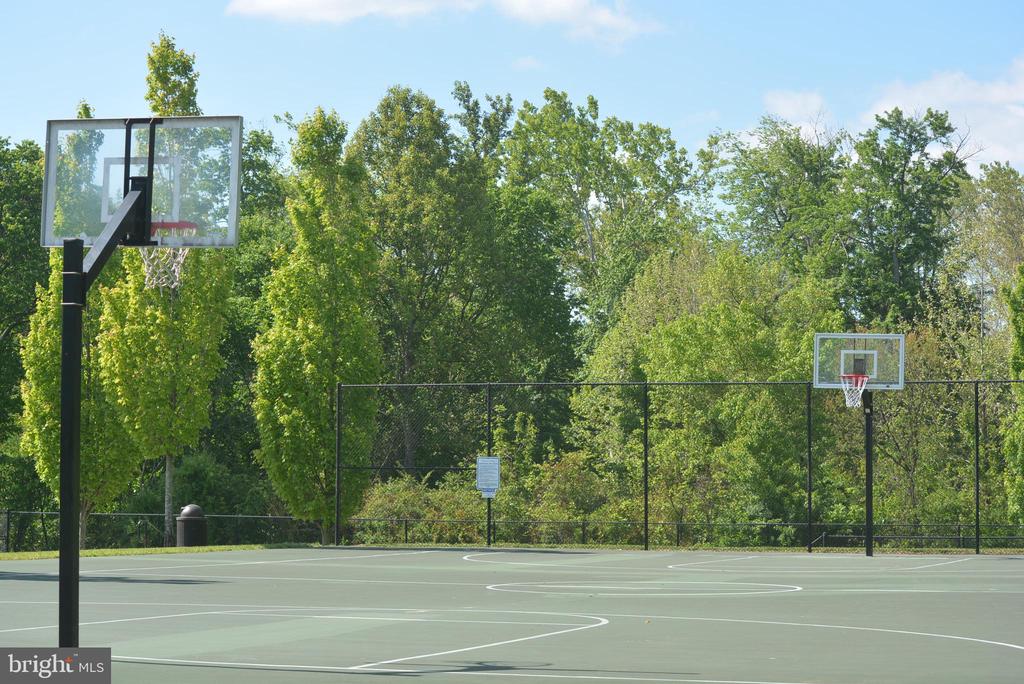 15829 FOURMILE CREEK COURT