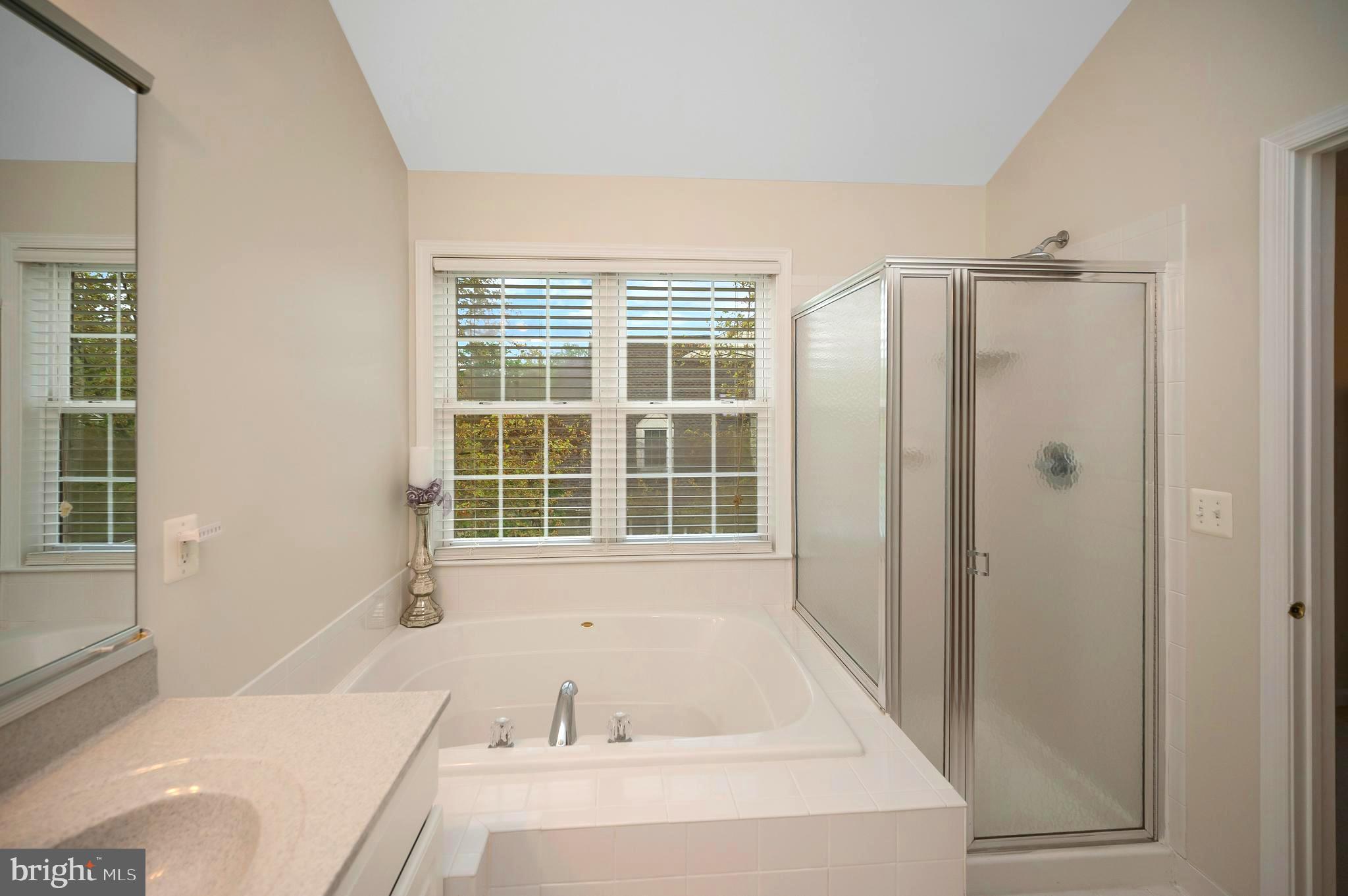 15829 FOURMILE CREEK COURT
