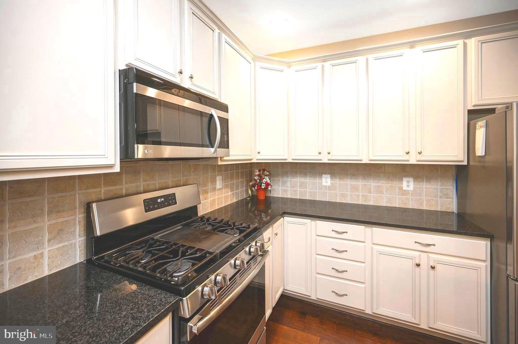 15829 FOURMILE CREEK COURT