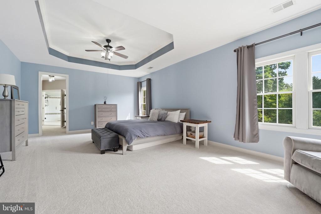 13219 PIEDMONT VISTA DRIVE