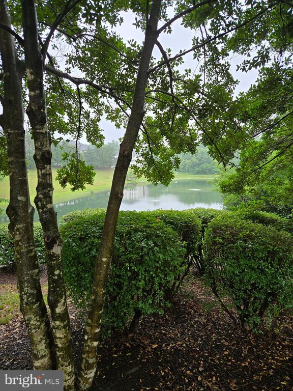 14151 CUDDY LOOP Unit: 101