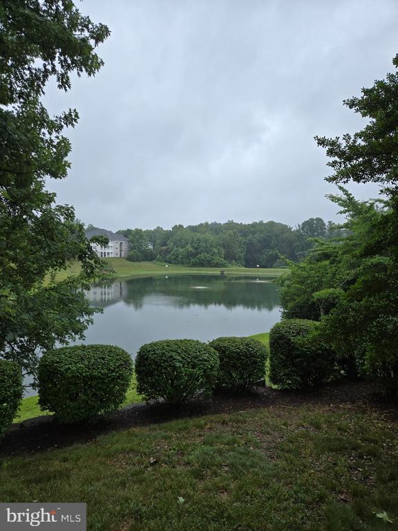 14151 CUDDY LOOP Unit: 101