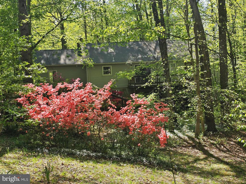 13437 BRISTOW ROAD