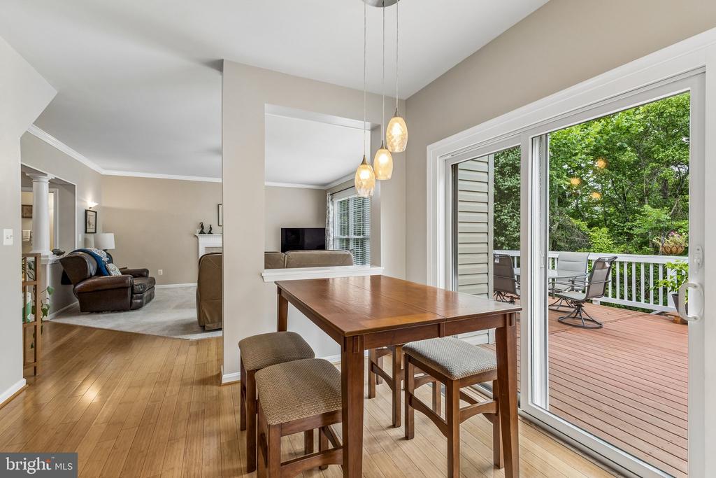 12230 SCONES HILL COURT