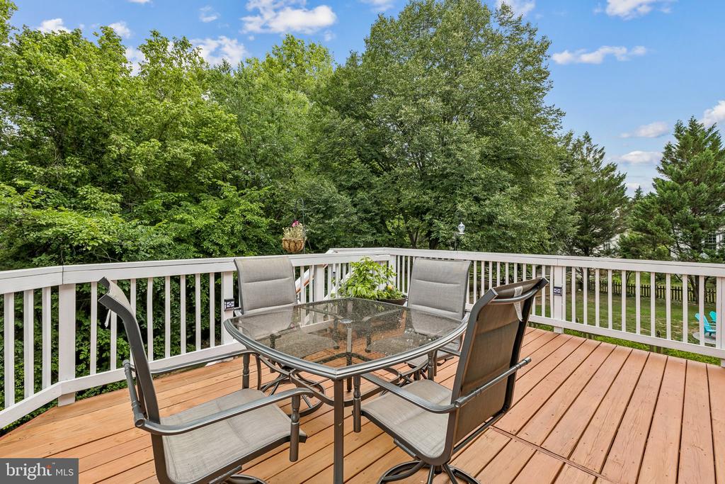 12230 SCONES HILL COURT