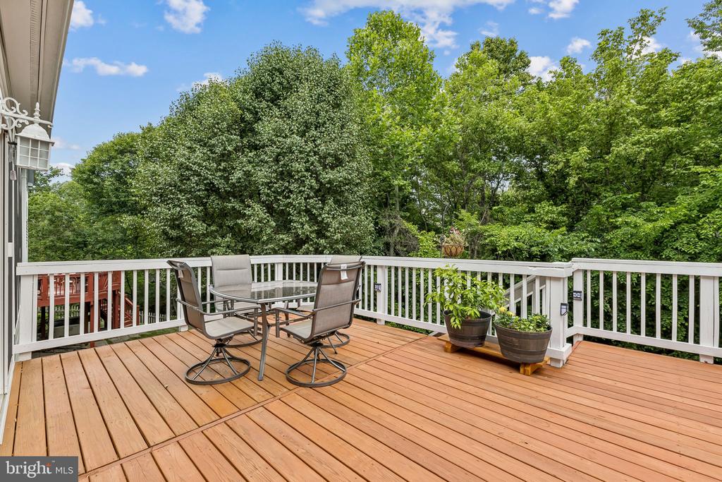 12230 SCONES HILL COURT