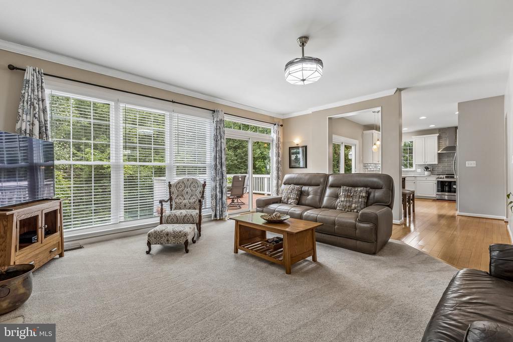 12230 SCONES HILL COURT