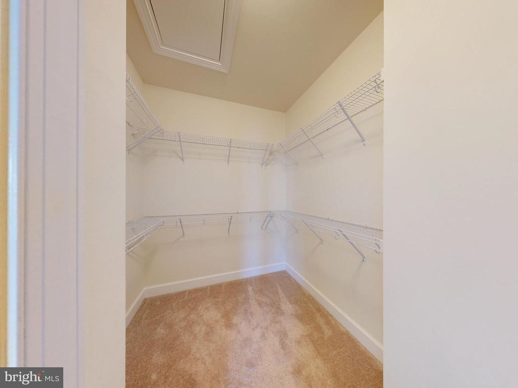 15305 LINVILLE CREEK DRIVE