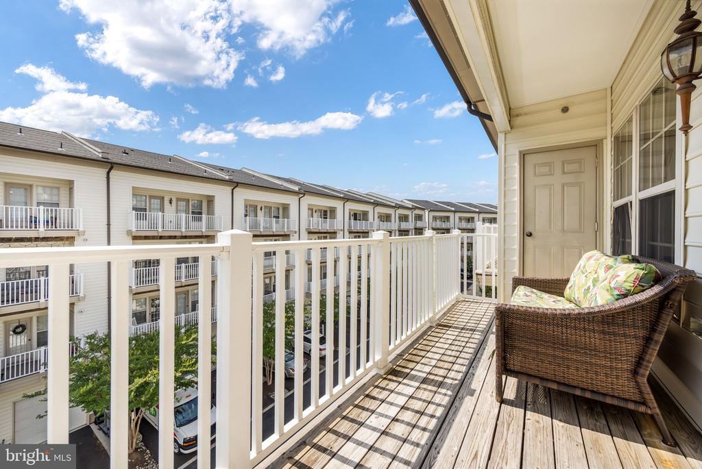 PRINCE WILLIAM