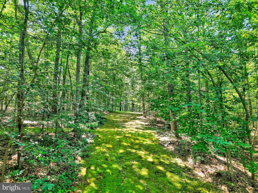13650 INDEPENDENCE RIDGE PLACE